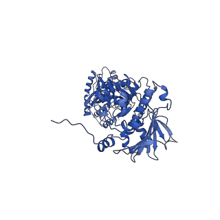 22244_6xlh_A_v1-1
Asymmetric hydrolysis state of Hsc82 in complex with Aha1 bound with ADP and ATPgammaS