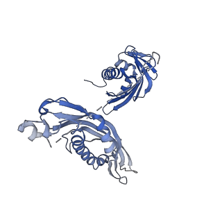 22244_6xlh_C_v1-0
Asymmetric hydrolysis state of Hsc82 in complex with Aha1 bound with ADP and ATPgammaS