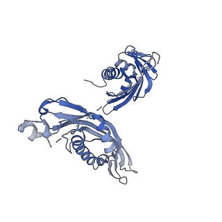 22244_6xlh_C_v1-1
Asymmetric hydrolysis state of Hsc82 in complex with Aha1 bound with ADP and ATPgammaS