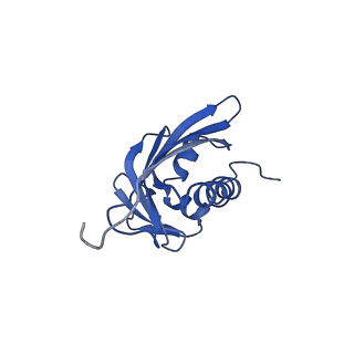 22244_6xlh_D_v1-1
Asymmetric hydrolysis state of Hsc82 in complex with Aha1 bound with ADP and ATPgammaS