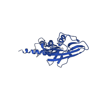 22245_6xlj_A_v1-2
Cryo-EM structure of EcmrR-RNAP-promoter initial transcribing complex with 4-nt RNA transcript (EcmrR-RPitc-4nt)