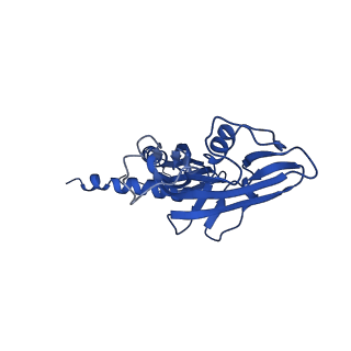 22245_6xlj_A_v1-3
Cryo-EM structure of EcmrR-RNAP-promoter initial transcribing complex with 4-nt RNA transcript (EcmrR-RPitc-4nt)