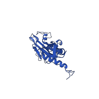22245_6xlj_B_v1-2
Cryo-EM structure of EcmrR-RNAP-promoter initial transcribing complex with 4-nt RNA transcript (EcmrR-RPitc-4nt)