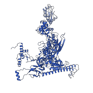22245_6xlj_C_v1-2
Cryo-EM structure of EcmrR-RNAP-promoter initial transcribing complex with 4-nt RNA transcript (EcmrR-RPitc-4nt)
