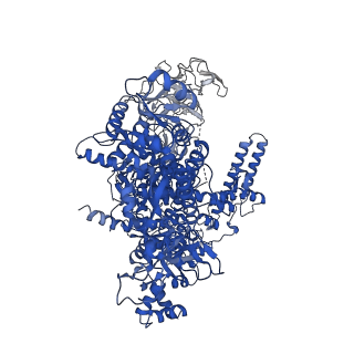 22245_6xlj_D_v1-2
Cryo-EM structure of EcmrR-RNAP-promoter initial transcribing complex with 4-nt RNA transcript (EcmrR-RPitc-4nt)