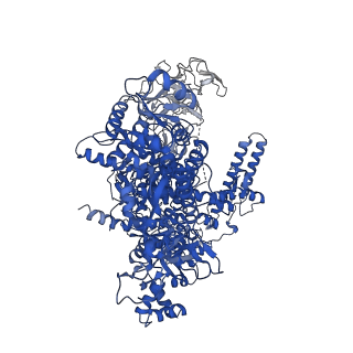 22245_6xlj_D_v1-3
Cryo-EM structure of EcmrR-RNAP-promoter initial transcribing complex with 4-nt RNA transcript (EcmrR-RPitc-4nt)