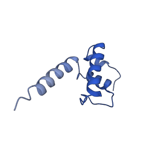 22245_6xlj_E_v1-2
Cryo-EM structure of EcmrR-RNAP-promoter initial transcribing complex with 4-nt RNA transcript (EcmrR-RPitc-4nt)