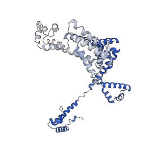 22245_6xlj_F_v1-2
Cryo-EM structure of EcmrR-RNAP-promoter initial transcribing complex with 4-nt RNA transcript (EcmrR-RPitc-4nt)