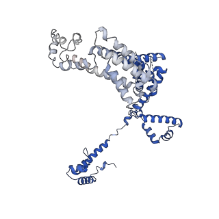 22245_6xlj_F_v1-3
Cryo-EM structure of EcmrR-RNAP-promoter initial transcribing complex with 4-nt RNA transcript (EcmrR-RPitc-4nt)