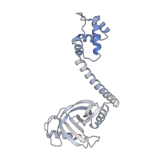 22245_6xlj_G_v1-2
Cryo-EM structure of EcmrR-RNAP-promoter initial transcribing complex with 4-nt RNA transcript (EcmrR-RPitc-4nt)
