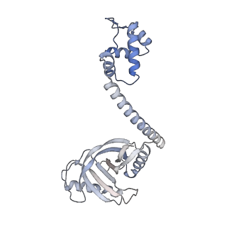 22245_6xlj_G_v1-3
Cryo-EM structure of EcmrR-RNAP-promoter initial transcribing complex with 4-nt RNA transcript (EcmrR-RPitc-4nt)