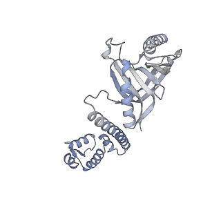 22245_6xlj_H_v1-3
Cryo-EM structure of EcmrR-RNAP-promoter initial transcribing complex with 4-nt RNA transcript (EcmrR-RPitc-4nt)