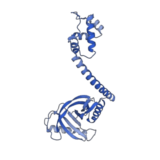 22246_6xlk_G_v1-2
Cryo-EM structure of EcmrR-DNA complex in EcmrR-RPitc-4nt