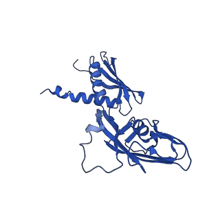 22247_6xll_A_v1-2
Cryo-EM structure of E. coli RNAP-promoter initial transcribing complex with 5-nt RNA transcript (RPitc-5nt)