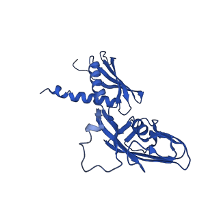 22247_6xll_A_v1-3
Cryo-EM structure of E. coli RNAP-promoter initial transcribing complex with 5-nt RNA transcript (RPitc-5nt)