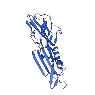 22247_6xll_B_v1-2
Cryo-EM structure of E. coli RNAP-promoter initial transcribing complex with 5-nt RNA transcript (RPitc-5nt)
