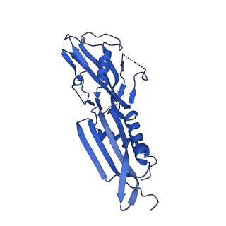 22247_6xll_B_v1-3
Cryo-EM structure of E. coli RNAP-promoter initial transcribing complex with 5-nt RNA transcript (RPitc-5nt)