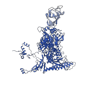 22247_6xll_C_v1-2
Cryo-EM structure of E. coli RNAP-promoter initial transcribing complex with 5-nt RNA transcript (RPitc-5nt)