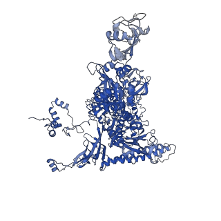 22247_6xll_C_v1-3
Cryo-EM structure of E. coli RNAP-promoter initial transcribing complex with 5-nt RNA transcript (RPitc-5nt)