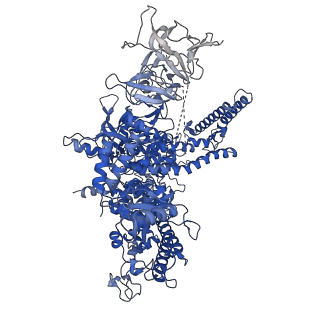 22247_6xll_D_v1-2
Cryo-EM structure of E. coli RNAP-promoter initial transcribing complex with 5-nt RNA transcript (RPitc-5nt)