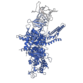 22247_6xll_D_v1-3
Cryo-EM structure of E. coli RNAP-promoter initial transcribing complex with 5-nt RNA transcript (RPitc-5nt)