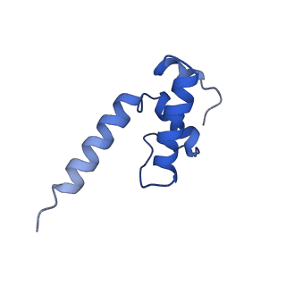 22247_6xll_E_v1-2
Cryo-EM structure of E. coli RNAP-promoter initial transcribing complex with 5-nt RNA transcript (RPitc-5nt)