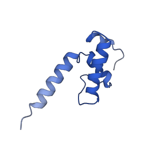 22247_6xll_E_v1-3
Cryo-EM structure of E. coli RNAP-promoter initial transcribing complex with 5-nt RNA transcript (RPitc-5nt)