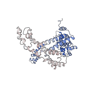 22247_6xll_F_v1-3
Cryo-EM structure of E. coli RNAP-promoter initial transcribing complex with 5-nt RNA transcript (RPitc-5nt)