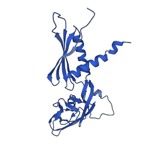 22248_6xlm_A_v1-2
Cryo-EM structure of E.coli RNAP-DNA elongation complex 1 (RDe1) in EcmrR-dependent transcription