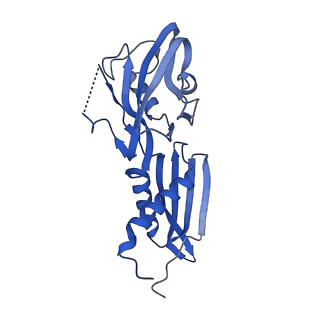 22248_6xlm_B_v1-2
Cryo-EM structure of E.coli RNAP-DNA elongation complex 1 (RDe1) in EcmrR-dependent transcription