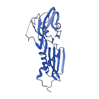 22248_6xlm_B_v1-3
Cryo-EM structure of E.coli RNAP-DNA elongation complex 1 (RDe1) in EcmrR-dependent transcription