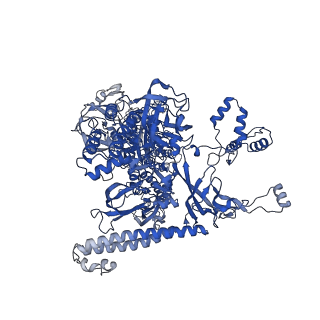 22248_6xlm_C_v1-2
Cryo-EM structure of E.coli RNAP-DNA elongation complex 1 (RDe1) in EcmrR-dependent transcription