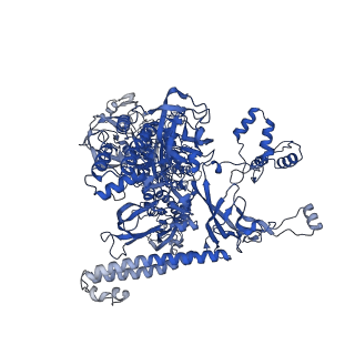 22248_6xlm_C_v1-3
Cryo-EM structure of E.coli RNAP-DNA elongation complex 1 (RDe1) in EcmrR-dependent transcription