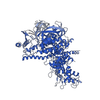 22248_6xlm_D_v1-2
Cryo-EM structure of E.coli RNAP-DNA elongation complex 1 (RDe1) in EcmrR-dependent transcription