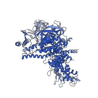 22248_6xlm_D_v1-3
Cryo-EM structure of E.coli RNAP-DNA elongation complex 1 (RDe1) in EcmrR-dependent transcription