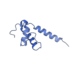 22248_6xlm_E_v1-2
Cryo-EM structure of E.coli RNAP-DNA elongation complex 1 (RDe1) in EcmrR-dependent transcription