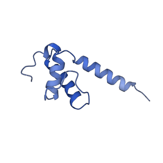 22248_6xlm_E_v1-3
Cryo-EM structure of E.coli RNAP-DNA elongation complex 1 (RDe1) in EcmrR-dependent transcription