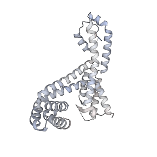 22248_6xlm_F_v1-2
Cryo-EM structure of E.coli RNAP-DNA elongation complex 1 (RDe1) in EcmrR-dependent transcription