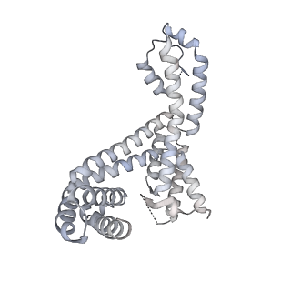 22248_6xlm_F_v1-3
Cryo-EM structure of E.coli RNAP-DNA elongation complex 1 (RDe1) in EcmrR-dependent transcription