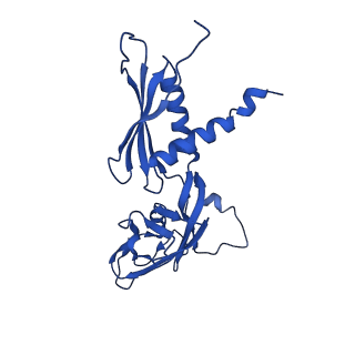 22249_6xln_A_v1-2
Cryo-EM structure of E. coli RNAP-DNA elongation complex 2 (RDe2) in EcmrR-dependent transcription