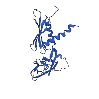 22249_6xln_A_v1-3
Cryo-EM structure of E. coli RNAP-DNA elongation complex 2 (RDe2) in EcmrR-dependent transcription
