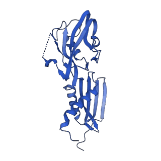 22249_6xln_B_v1-2
Cryo-EM structure of E. coli RNAP-DNA elongation complex 2 (RDe2) in EcmrR-dependent transcription