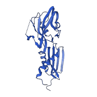 22249_6xln_B_v1-3
Cryo-EM structure of E. coli RNAP-DNA elongation complex 2 (RDe2) in EcmrR-dependent transcription