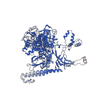 22249_6xln_C_v1-2
Cryo-EM structure of E. coli RNAP-DNA elongation complex 2 (RDe2) in EcmrR-dependent transcription