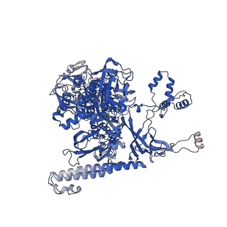 22249_6xln_C_v1-3
Cryo-EM structure of E. coli RNAP-DNA elongation complex 2 (RDe2) in EcmrR-dependent transcription