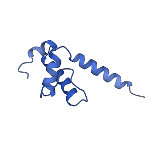 22249_6xln_E_v1-2
Cryo-EM structure of E. coli RNAP-DNA elongation complex 2 (RDe2) in EcmrR-dependent transcription