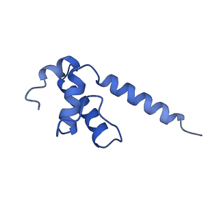 22249_6xln_E_v1-3
Cryo-EM structure of E. coli RNAP-DNA elongation complex 2 (RDe2) in EcmrR-dependent transcription