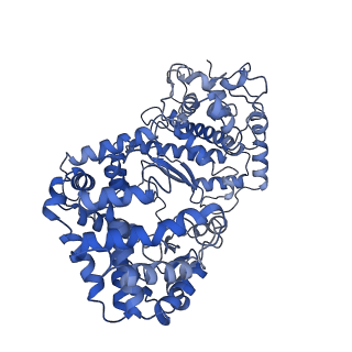 22252_6xly_A_v1-2
CRYOEM STRUCTURE OF MYCOBACTERIUM TUBERCULOSIS ZINC METALLOPROTEASE ZMP1 IN OPEN STATE