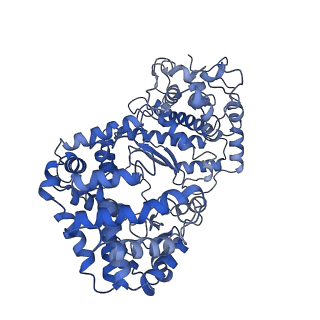 22252_6xly_A_v1-3
CRYOEM STRUCTURE OF MYCOBACTERIUM TUBERCULOSIS ZINC METALLOPROTEASE ZMP1 IN OPEN STATE