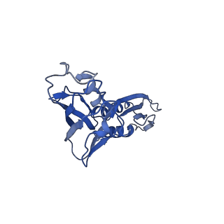 33271_7xl3_B_v1-1
Cryo-EM structure of Pseudomonas aeruginosa RNAP sigmaS holoenzyme complexes with transcription factor SutA (open lobe)
